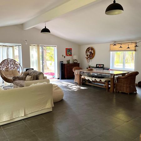 House De La Canopee, Swimming Pool, Lake, Forest, Large Garden And Wifi Hourtin Eksteriør billede