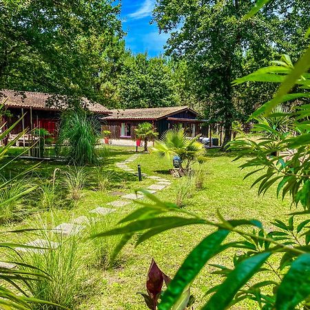 House De La Canopee, Swimming Pool, Lake, Forest, Large Garden And Wifi Hourtin Eksteriør billede