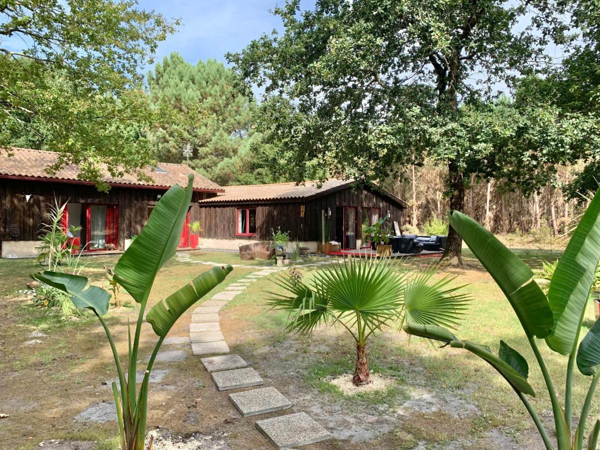 House De La Canopee, Swimming Pool, Lake, Forest, Large Garden And Wifi Hourtin Eksteriør billede