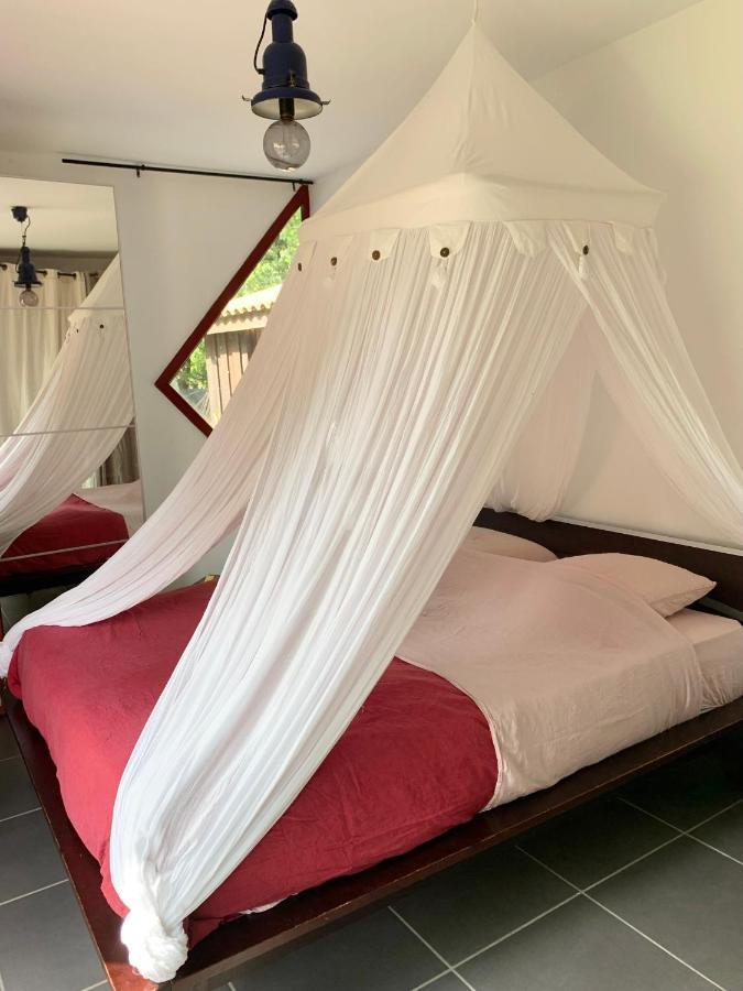House De La Canopee, Swimming Pool, Lake, Forest, Large Garden And Wifi Hourtin Eksteriør billede