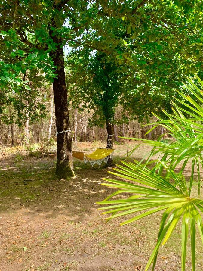 House De La Canopee, Swimming Pool, Lake, Forest, Large Garden And Wifi Hourtin Eksteriør billede