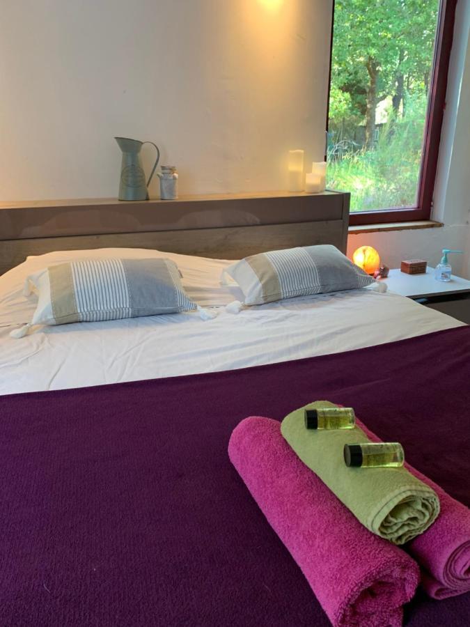 House De La Canopee, Swimming Pool, Lake, Forest, Large Garden And Wifi Hourtin Eksteriør billede
