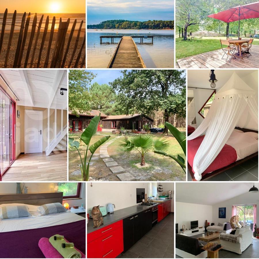 House De La Canopee, Swimming Pool, Lake, Forest, Large Garden And Wifi Hourtin Eksteriør billede