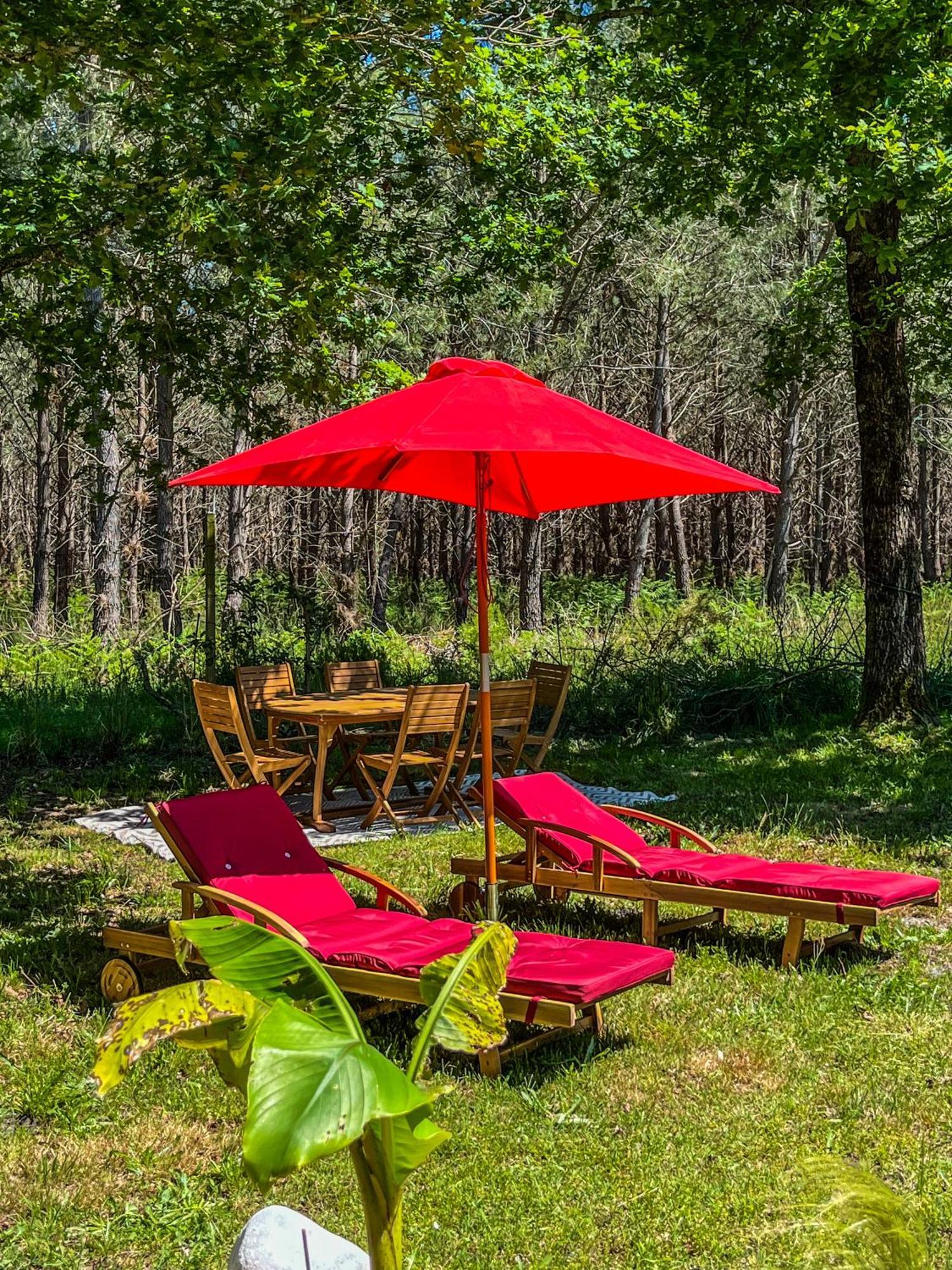 House De La Canopee, Swimming Pool, Lake, Forest, Large Garden And Wifi Hourtin Eksteriør billede