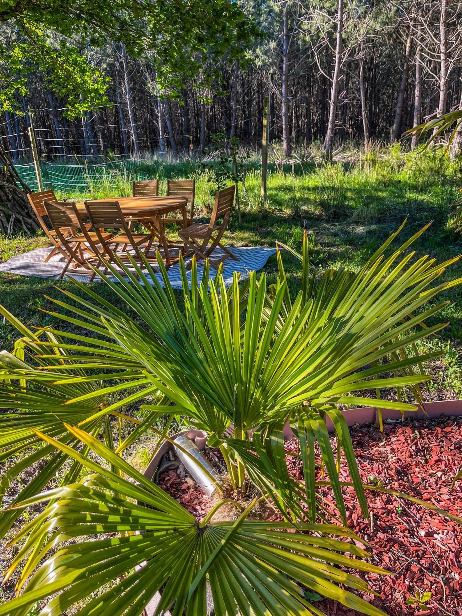 House De La Canopee, Swimming Pool, Lake, Forest, Large Garden And Wifi Hourtin Eksteriør billede