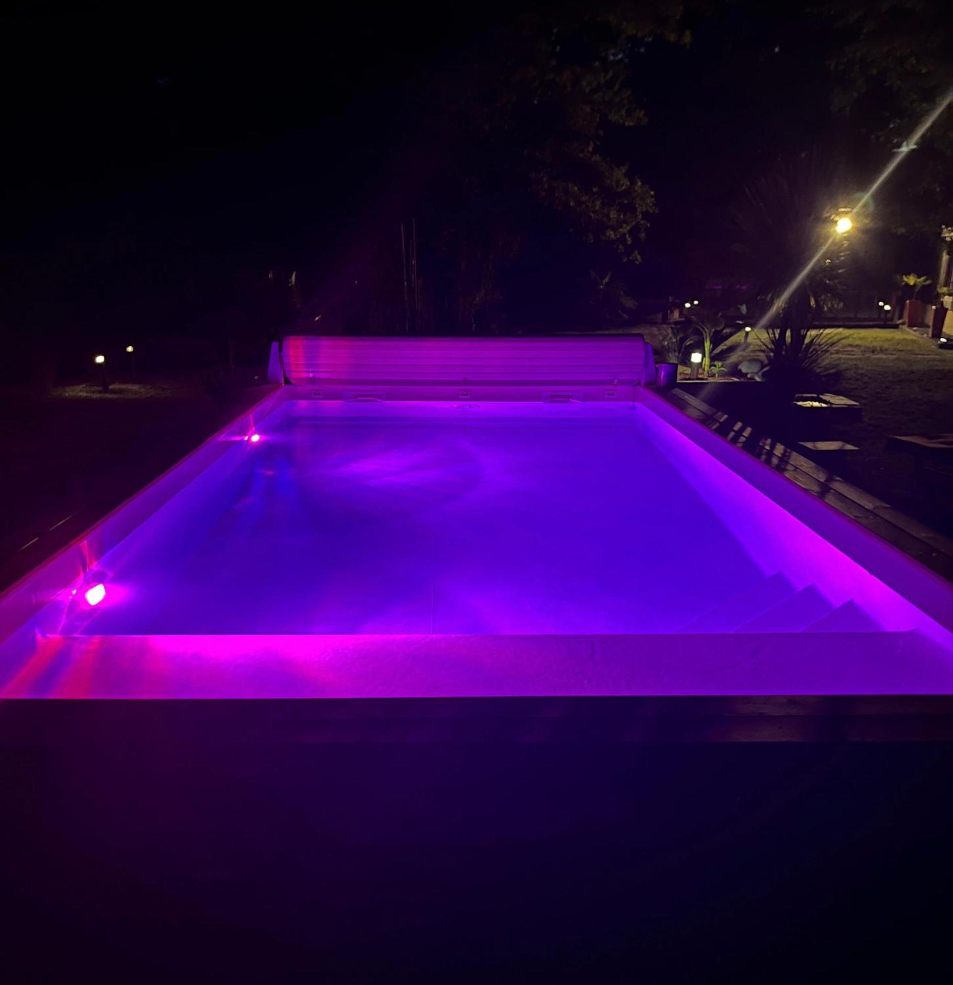 House De La Canopee, Swimming Pool, Lake, Forest, Large Garden And Wifi Hourtin Eksteriør billede