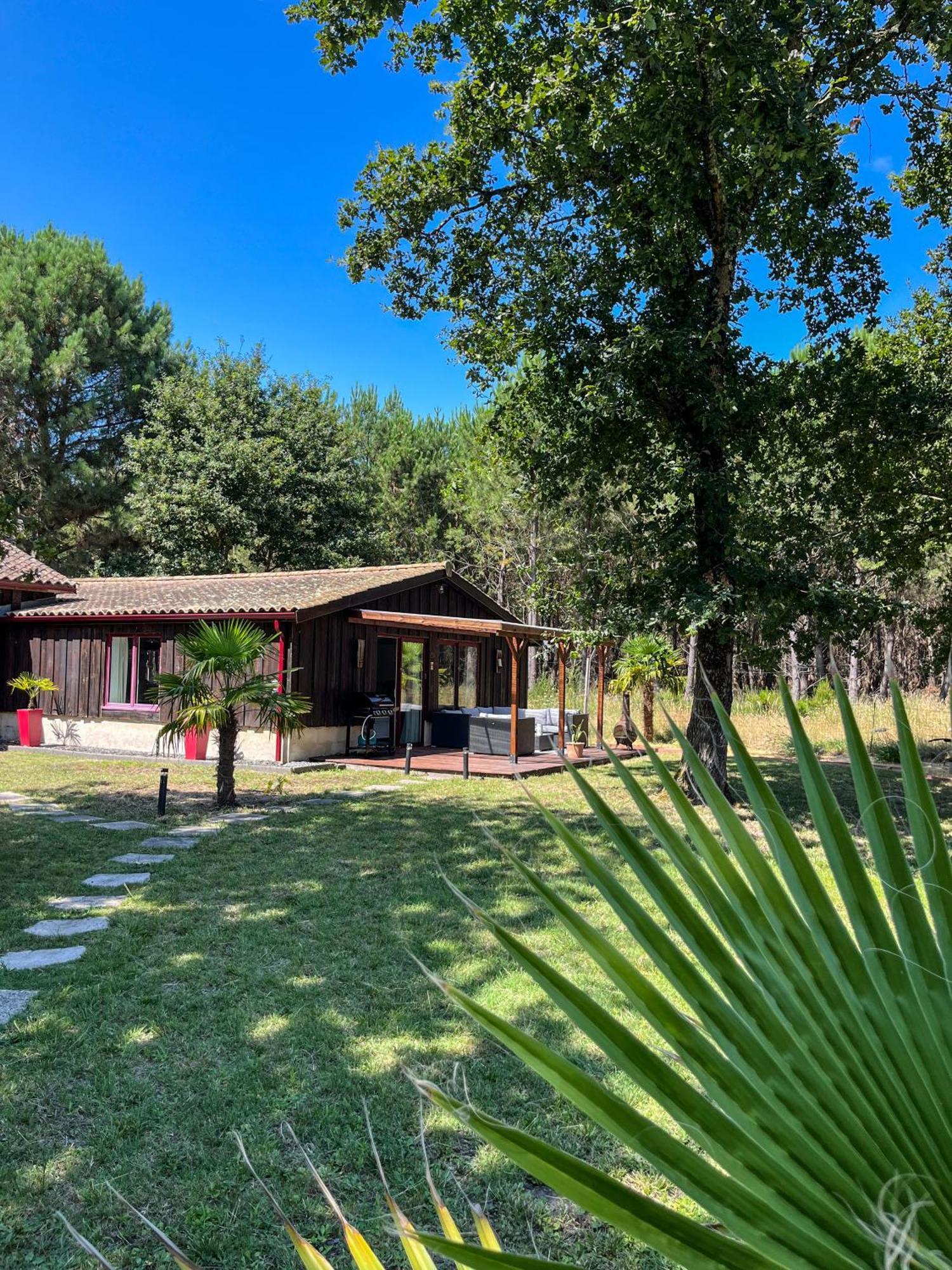 House De La Canopee, Swimming Pool, Lake, Forest, Large Garden And Wifi Hourtin Eksteriør billede